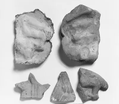 Mold Fragment
