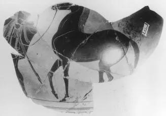 AMPHORA, NECK, FRAGMENT (ATHENIAN, BLACK-FIGURE)