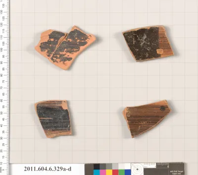 Terracotta fragments of unidentified shapes