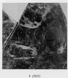 OLPE, FRAGMENT (ETRUSCO-CORINTHIAN, BLACK-FIGURE)
