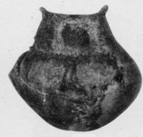 JAR (VILLA NOVA)