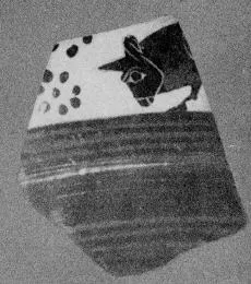 OINOCHOE, FRAGMENT (CORINTHIAN, BLACK-FIGURE)