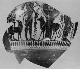 AMPHORA, BELLY, FRAGMENT (ATHENIAN, BLACK-FIGURE)