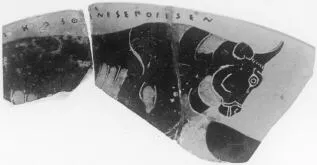 KYATHOS, FRAGMENT (ATHENIAN, BLACK-FIGURE)
