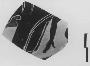 OINOCHOE, FRAGMENT (ATHENIAN, BLACK-FIGURE)