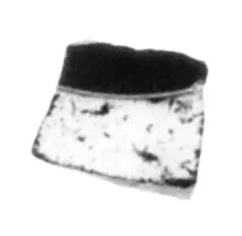 Attic Black-Figure Eye Cup Fragment