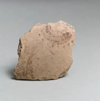 Vase fragment
