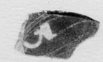 CUP, FRAGMENT (ATHENIAN, BLACK-FIGURE)