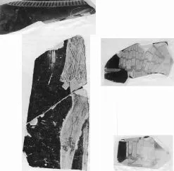 STAMNOS, FRAGMENTS (ATHENIAN, RED-FIGURE)