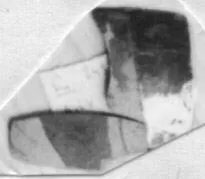 CUP, FRAGMENT (ATHENIAN, RED-FIGURE)