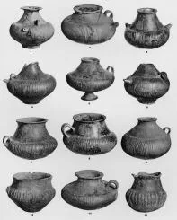 VARIOUS (DALJ)