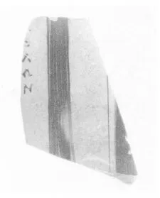 AMPHORA, PANATHENAIC PRIZE, FRAGMENT (ATHENIAN, BLACK-FIGURE)