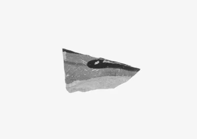 Attic Black-Figure Cup Fragment
