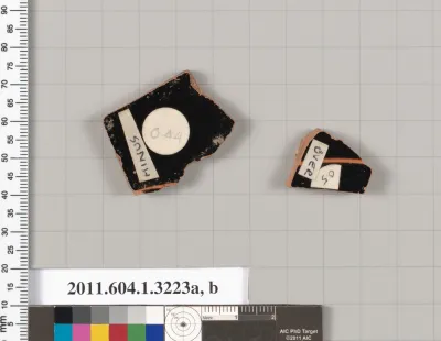 Terracotta fragments of kylikes (drinking cups)