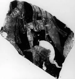 KRATER, CALYX, FRAGMENT (ATHENIAN, RED-FIGURE)