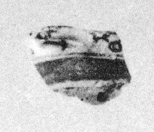 SKYPHOS, FRAGMENT (CORINTHIAN)
