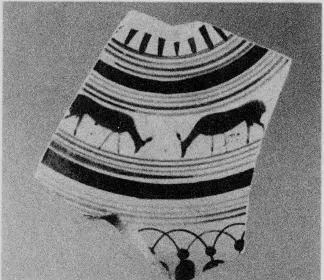 CUP DROOP, FRAGMENT (ATHENIAN, BLACK-FIGURE)