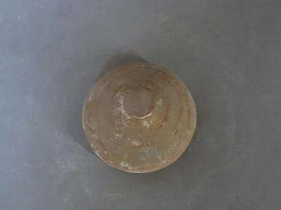couvercle de pyxis