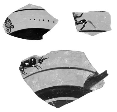 Attic Black-Figure Lip Cup Fragment