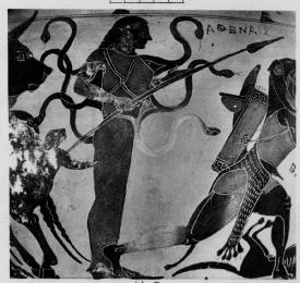 AMPHORA, NECK (CHALCIDIAN, BLACK-FIGURE)