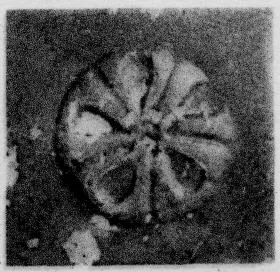 CUP, STEMLESS, FRAGMENT (SOUTH ITALIAN, CAMPANIAN, RELIEF)