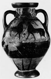 AMPHORA, NECK (ATHENIAN, BLACK-FIGURE)