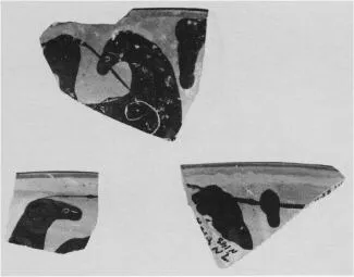 CUP, FRAGMENT (ATHENIAN, BLACK-FIGURE)