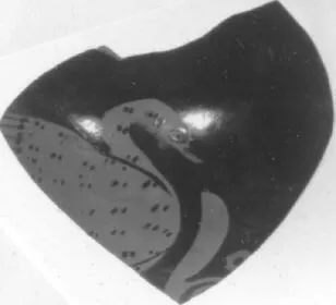 LEKYTHOS, SQUAT, FRAGMENT (ATHENIAN, RED-FIGURE)