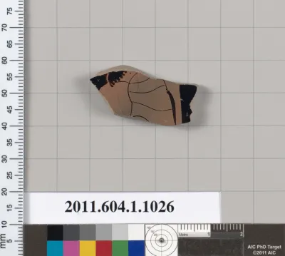 Terracotta fragment of a kylix (drinking cup)