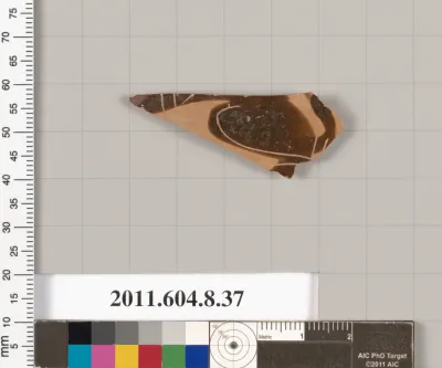 Terracotta fragment of an open shape