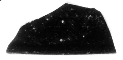 Attic Black-Figure Band Cup Fragment