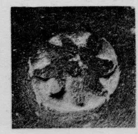CUP, STEMLESS, FRAGMENT (SOUTH ITALIAN, CAMPANIAN)