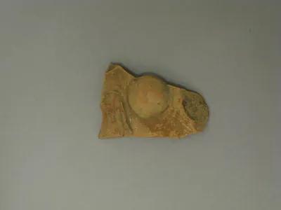 vase ouvert