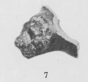 GUTTUS, FRAGMENT (SOUTH ITALIAN, SICILIAN, BLACK GLAZE)