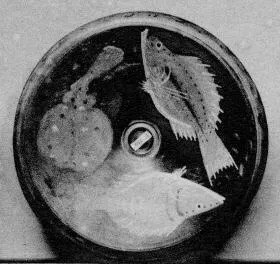FISH PLATE (SOUTH ITALIAN, CAMPANIAN, RED-FIGURE)