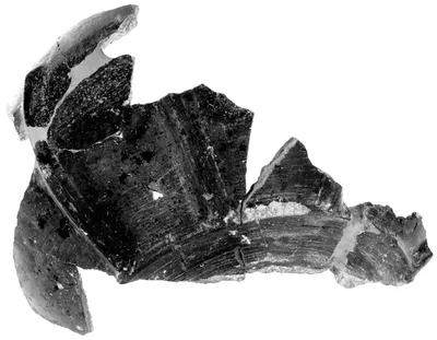 Fragmentary Stamnoid Krater