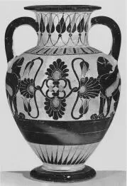 AMPHORA, NECK (CHALCIDIAN, BLACK-FIGURE)