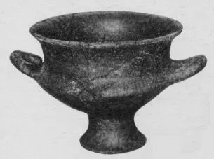 CUP (VILLA NOVA)