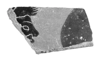 Attic Black-Figure Siana Cup Fragment