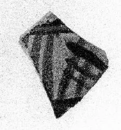 MUG, FRAGMENT (LACONIAN GEOMETRIC)