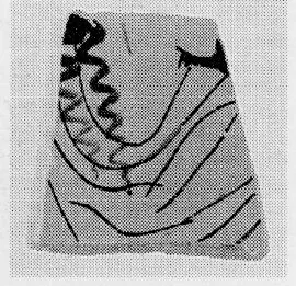 CUP, FRAGMENT (ATHENIAN, RED-FIGURE)