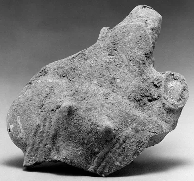 Fragment of a Female Figure