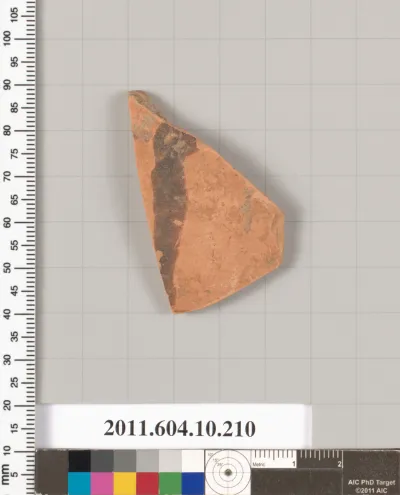 Terracotta fragment of an amphora (jar)