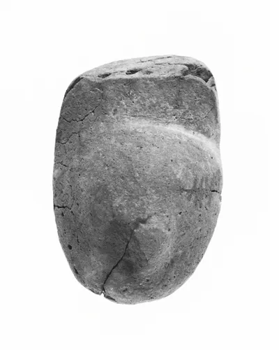 Head Fragment