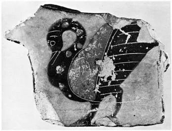 KRATER, COLUMN, FRAGMENT (ATHENIAN, BLACK-FIGURE)