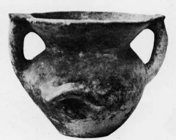 AMPHORA, BELLY (VILLA NOVA)