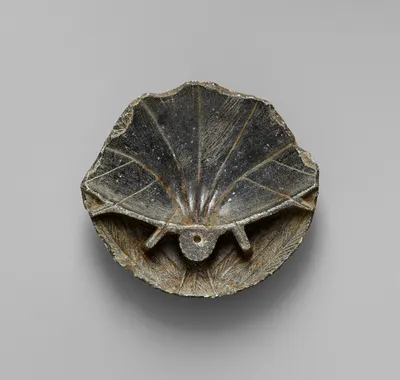 Cup in the Shape of a Shell