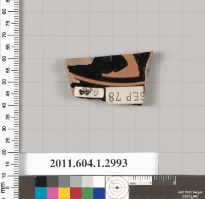 Terracotta fragment of a kylix (drinking cup)