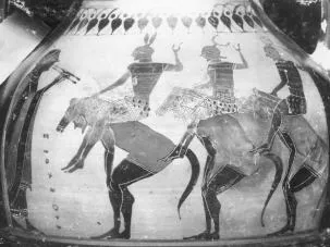 AMPHORA, BELLY, TYPE B (ATHENIAN, BLACK-FIGURE)