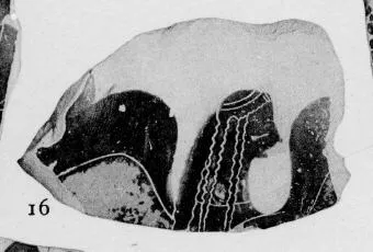 FRAGMENT (ATHENIAN, BLACK-FIGURE)